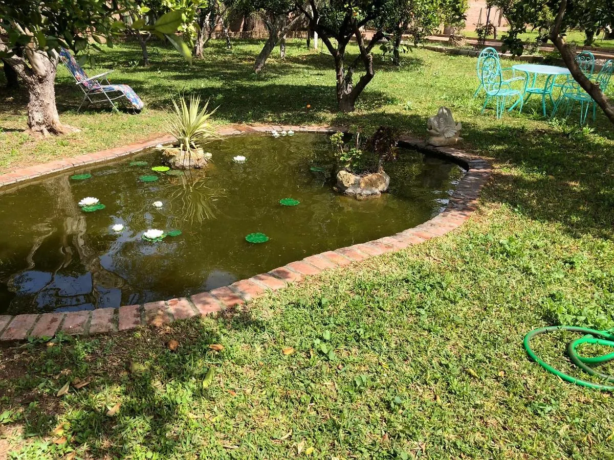 La Casita Del Cactus - Casa De Campo Con Piscina Alcalá de Guadaira
