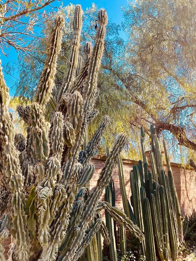 La Casita Del Cactus - Casa De Campo Con Piscina Alcalá de Guadaira Apartamento