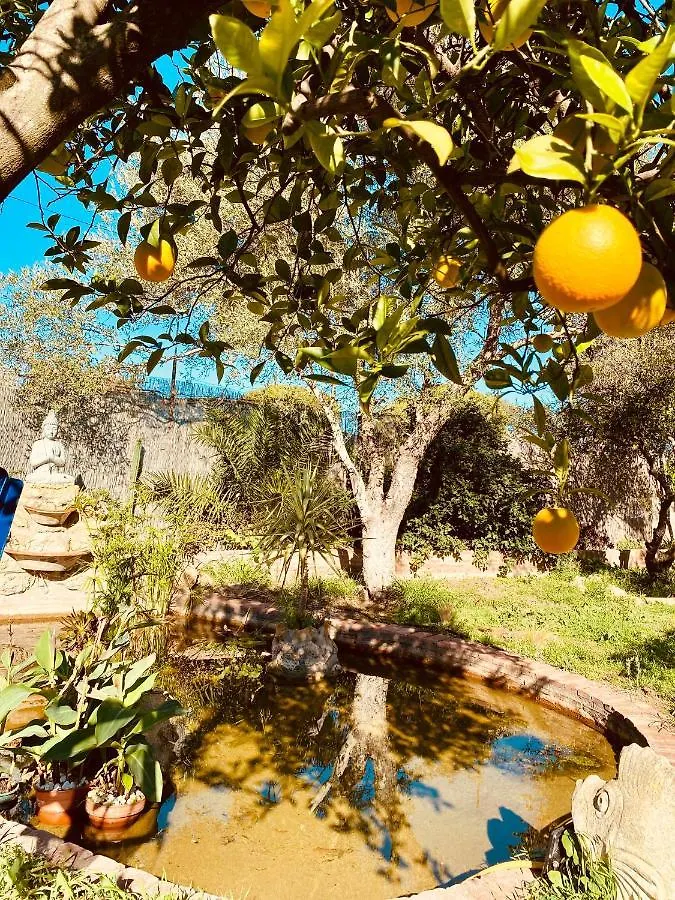 La Casita Del Cactus - Casa De Campo Con Piscina Alcalá de Guadaira